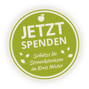 Jetzt Spenden Logo